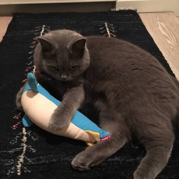 E6d05c45 9f98 4009 9ac9 ff1b4e6e181c