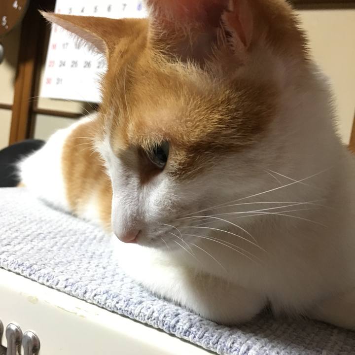 E6d097ec 73d0 4a1c a9cb c8affd96c2ce