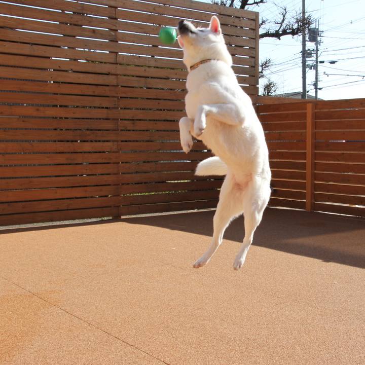 E6d12d8a e881 4c9d a119 ff41d1b7be26