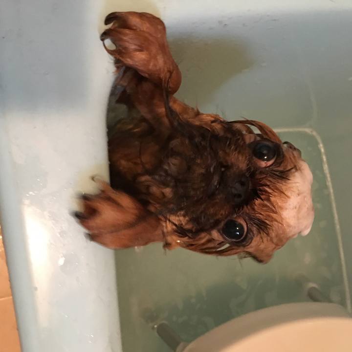 E6d15513 0901 4b9d b3f6 67507c07f462