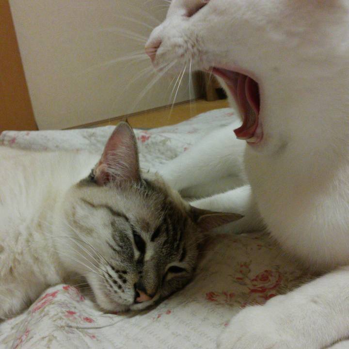 E6d19bb1 33cd 41ae 95c5 e955e5198654