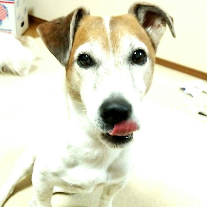 E6d1d3ba c483 42e2 9ad6 b6752a3138b0