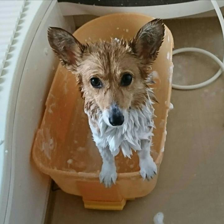 E6d2656b a9db 4876 a2d2 cd7c873df93c