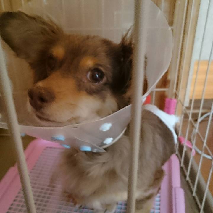 E6d39c33 fb5e 47b2 925d 49a8abc7817b