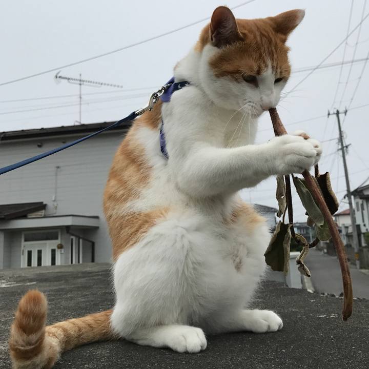 E6d3bf5e 18b8 4758 83c0 55678093f958