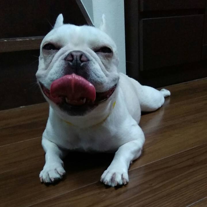 E6d3d588 8215 4454 a2bb 5e5f26ce6e45