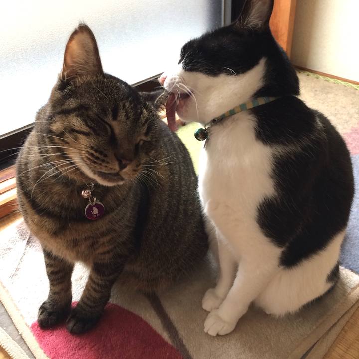 E6d3d868 52e6 4e53 8fd5 b94cf78815ee