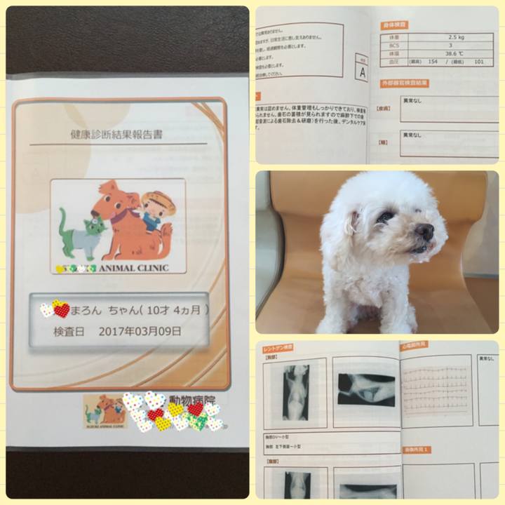 E6d64b18 12d7 4044 a376 3d506de42644