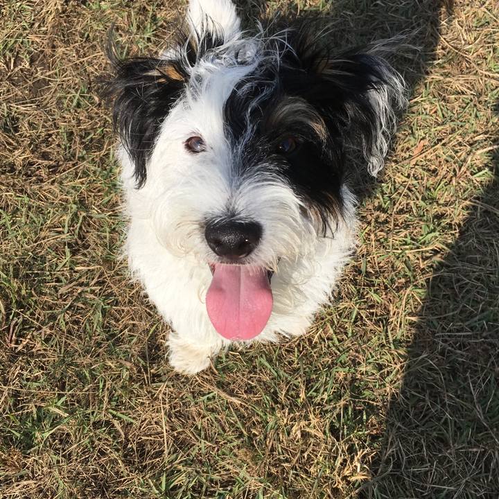 E6d64c8a 396e 42e6 a72f c1df4a75e0d3