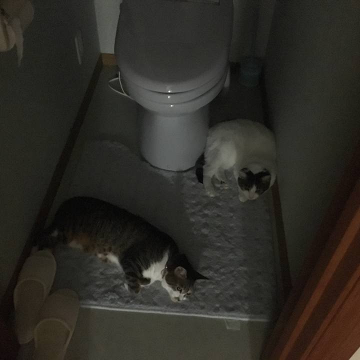 E6d6602d 95d3 4bd5 a153 e07300ff10ed