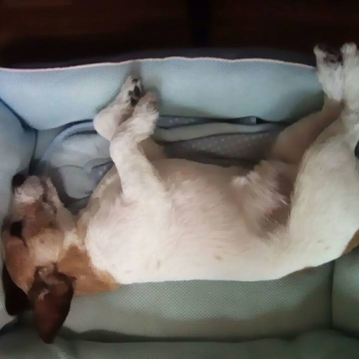 E6d6c72d a362 4ebd 845b 0470578f7ba8