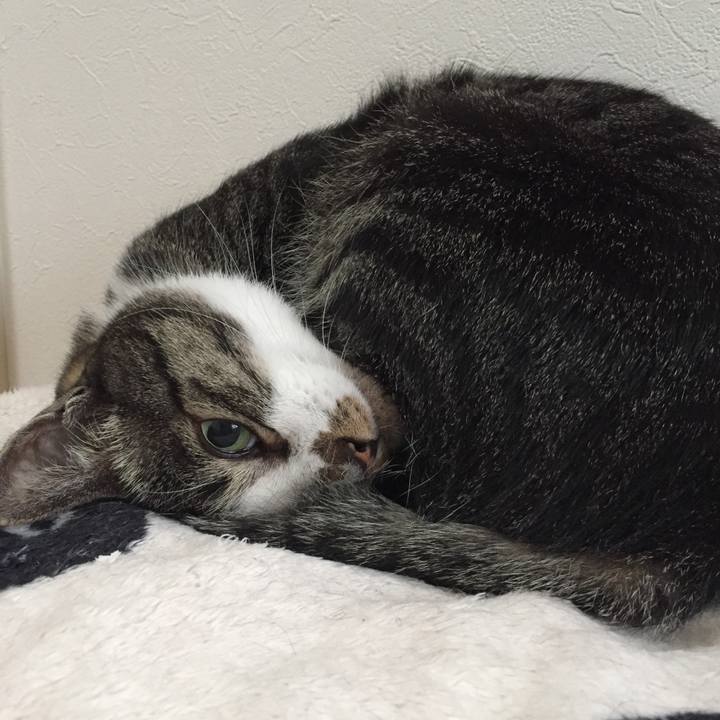 E6d70880 908b 457a b1c6 5954a057b132