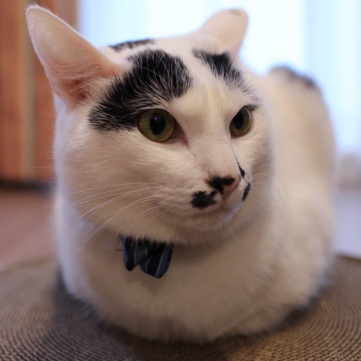 E6d71d09 e6da 40e6 b8dc cf4206c2e7dc