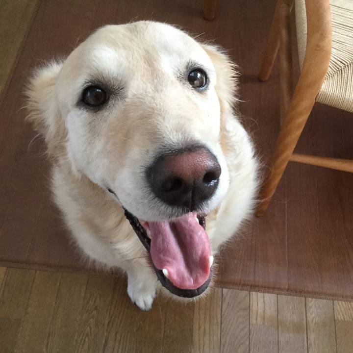 E6d78c27 854c 4e60 b979 aba3dca7aff8