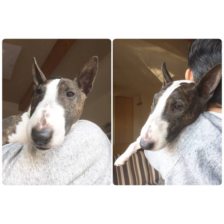 E6d7eee7 be3a 406b aa51 36d6036ee30d