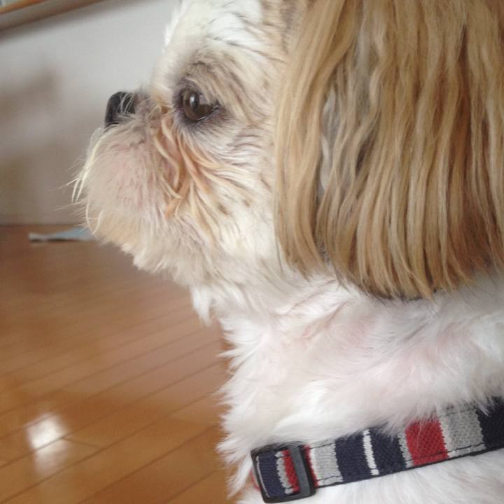 E6d84cbc eb49 4ea6 9811 9cb179d06455