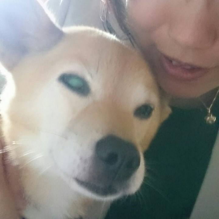 E6d8ce1c 7f22 4301 aabc 743d2f262b43