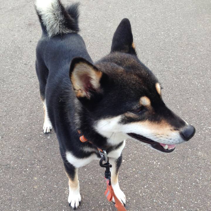 E6d8e6fa b7bb 4ecc 8458 1840efcabb93