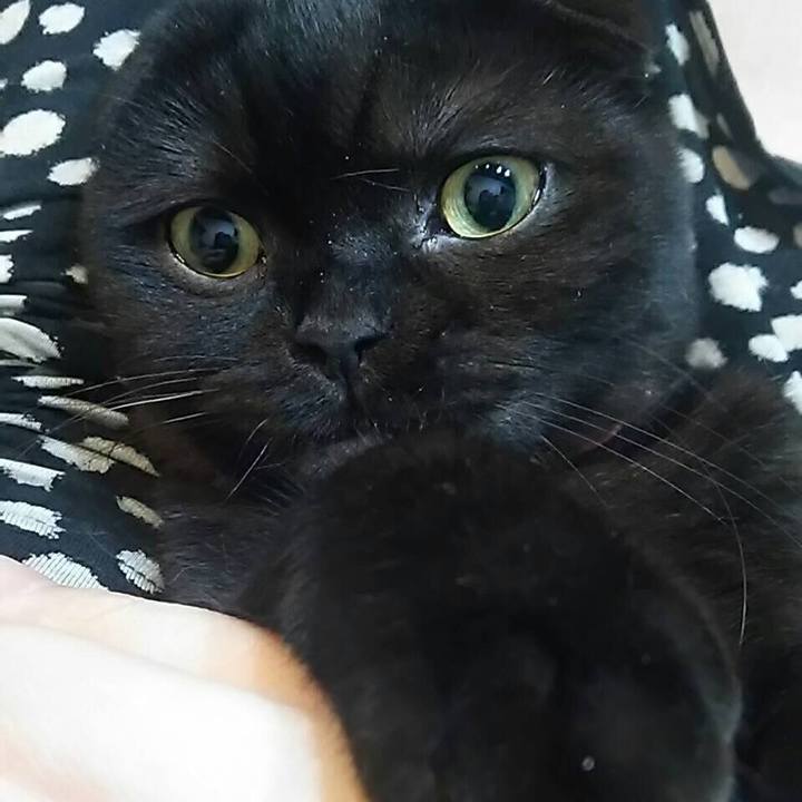 E6d94242 4303 40a5 a614 4cbe502a185a