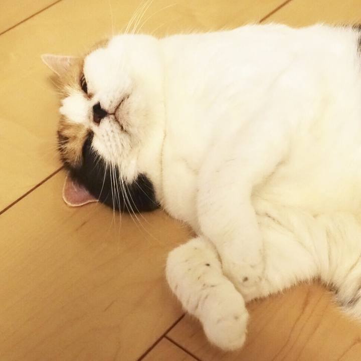 E6d991e4 65c3 452f 8fd3 01a28e0b1538