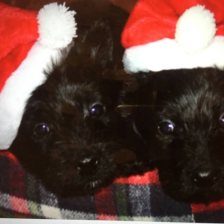 E6da7ace f1fc 4391 91f8 7c86a87ba11a