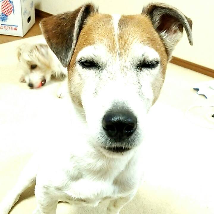 E6db357d 6e49 4e37 8a67 e0334a0547e2