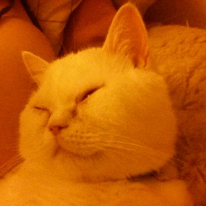 E6db3cfc d803 41a3 93cd 1c5f66df5f70