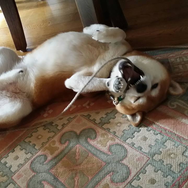 E6db781a 79d7 4045 a3a8 36038d1cbd1a