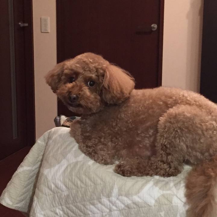 E6dc4b8b c907 4371 9de3 4716a0570a2a