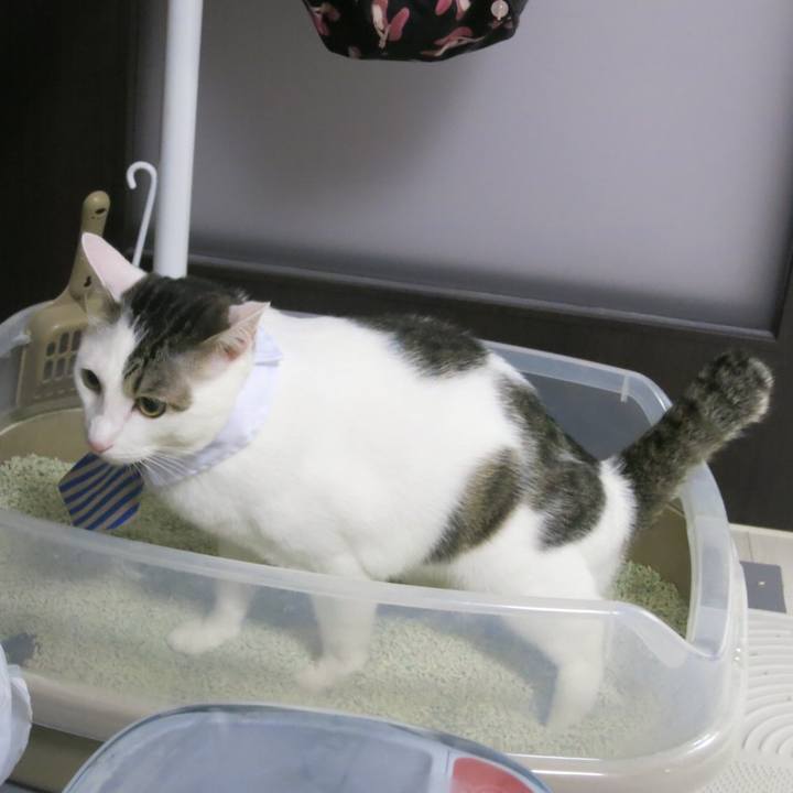 E6dc5d5f 3090 4e12 ab3d d8d4e5294a54