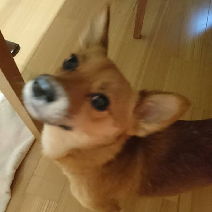 E6dd3e67 6805 4d4b af84 41dc68850bc9