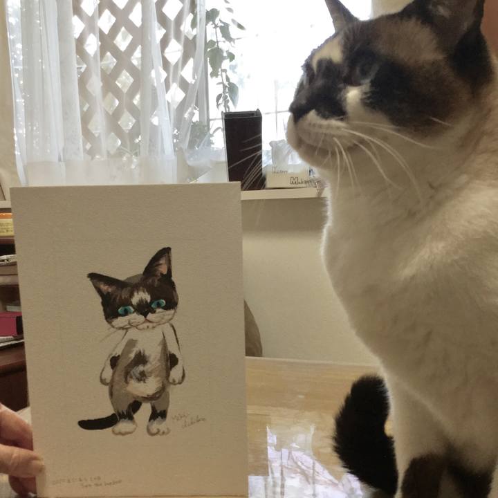 E6de7af0 540e 4831 bc7c 50923e50b2a7