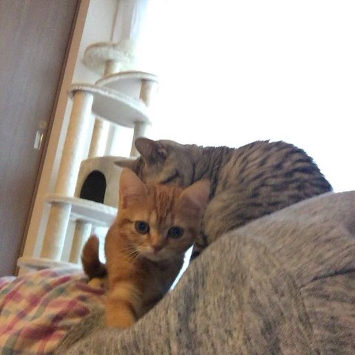 E6def3ac 5dce 4455 a5aa 5c42b65363fe