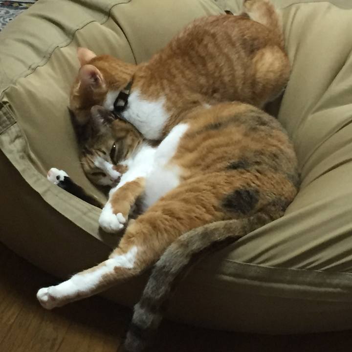 E6df02f3 085e 4438 9ae8 c8ac12c9a4aa