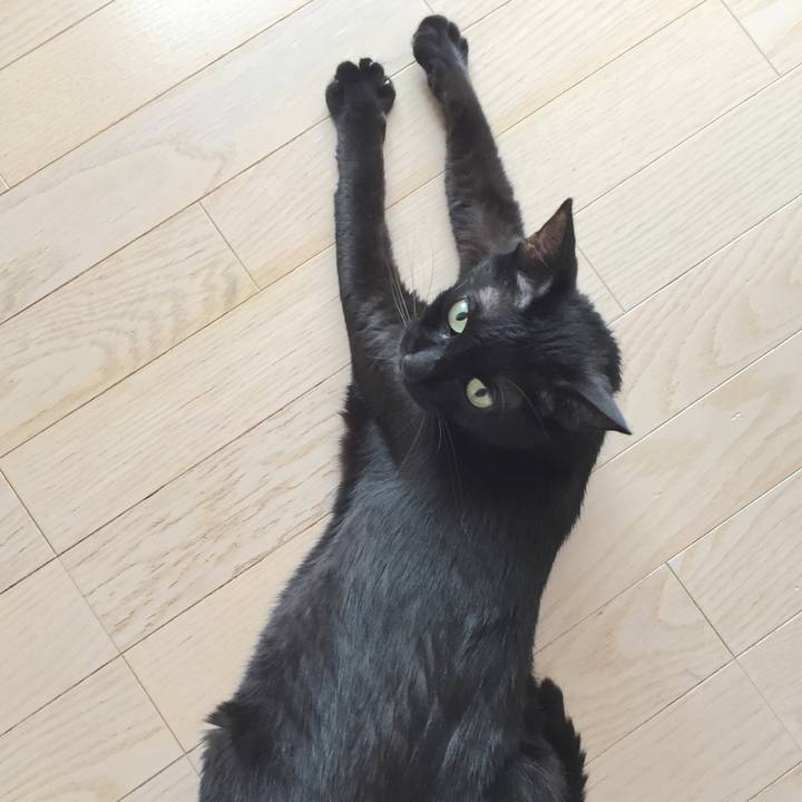 E6df3058 9dfd 4cce 8f9f 182533048eda