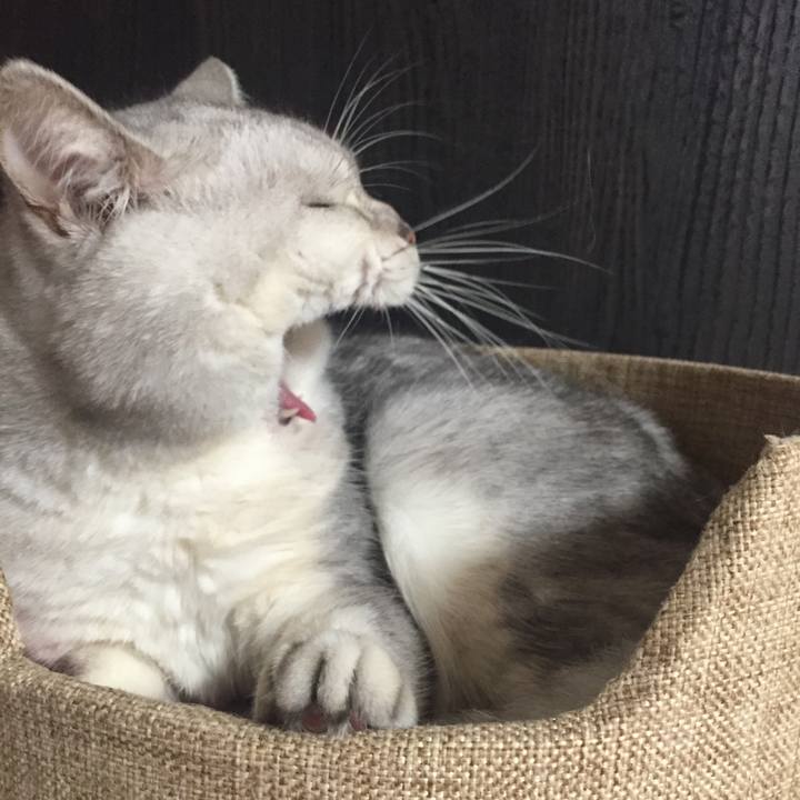 E6df8a27 f9ac 4934 97de b65aeb044101