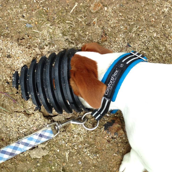 E6dfd913 7c76 4ac2 9c4e 302b9d9593ad