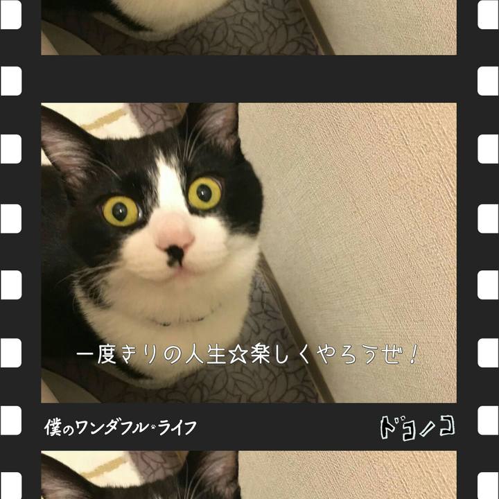 E6e00449 20a3 4daf a510 8bd35b810fb0