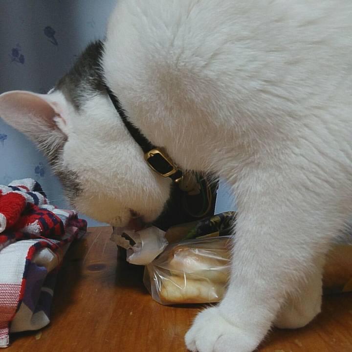 E6e07e60 57ca 4ac3 a308 671670c8f329