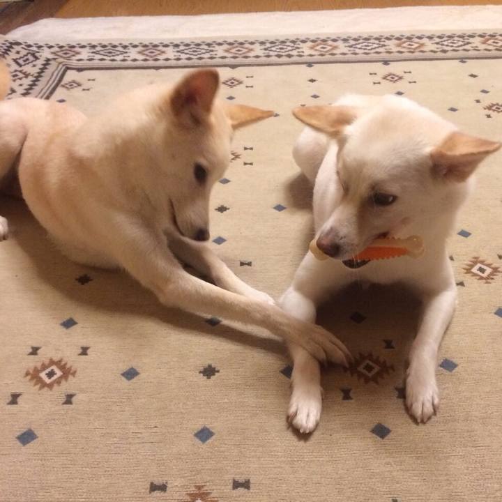 E6e1721a ba68 4996 be0a 3f82f438147e