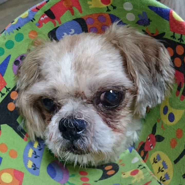 E6e234a7 da11 46f5 a3f9 dff5c7c7978c