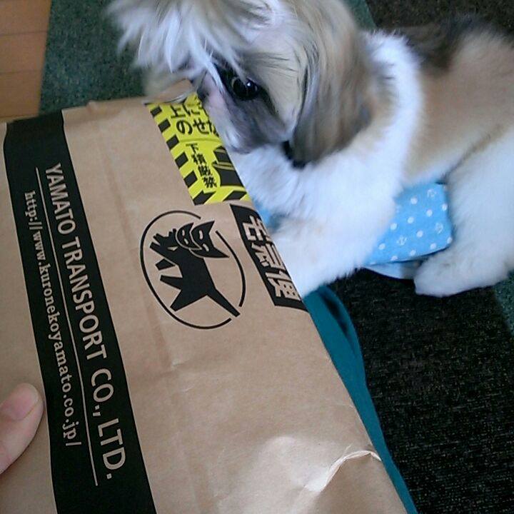 E6e30be9 e988 43ef 900e f5dd957d7e3c