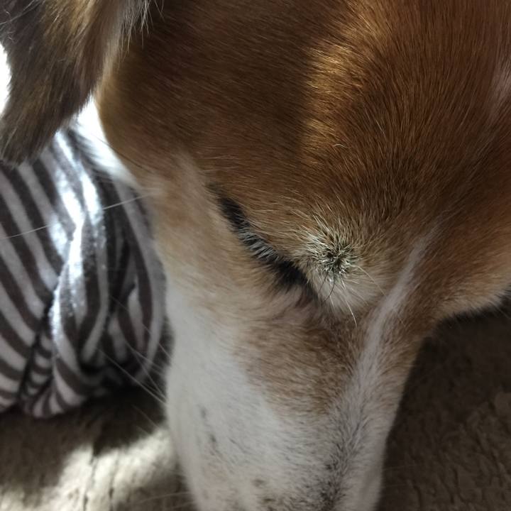 E6e315aa 736f 44d4 8780 914543de8342