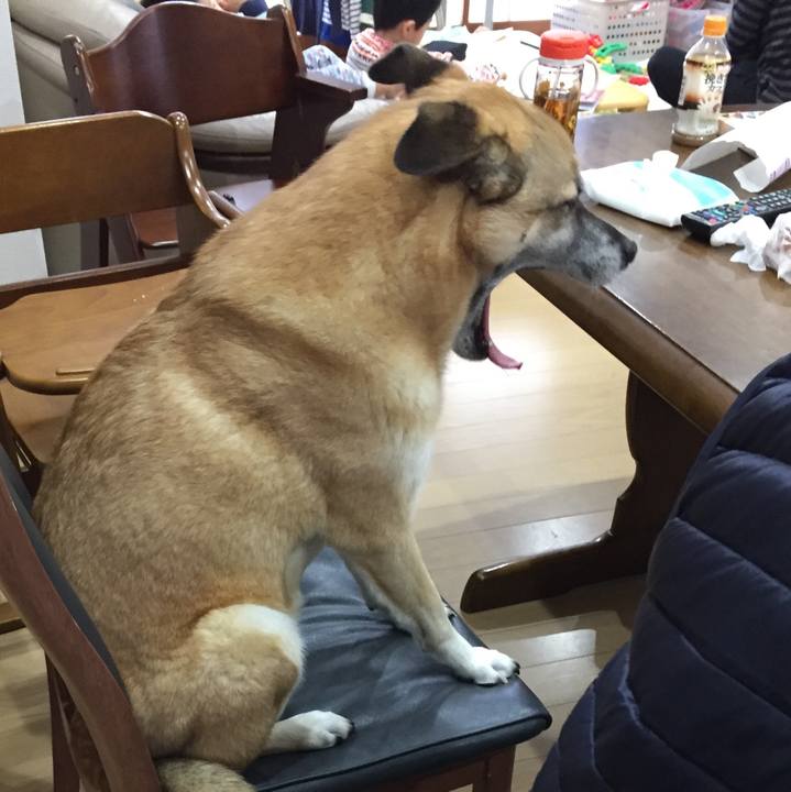 E6e33399 4c74 4482 bf9a 8f4867b6f9f1