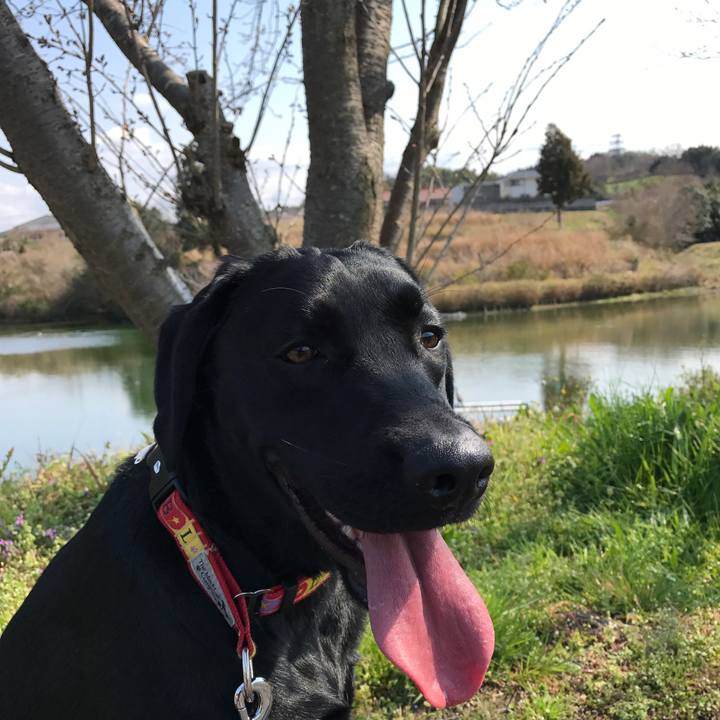 E6e4dbfd ca73 444e 82c6 a2535b47e3f8