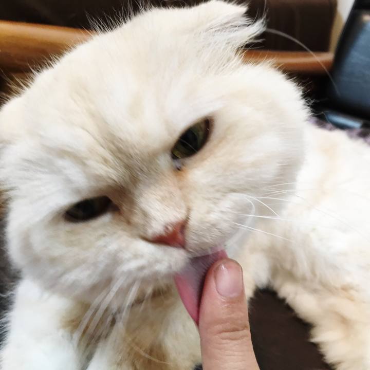 E6e67677 b3c0 41f8 926d 6fdb3e5092c0