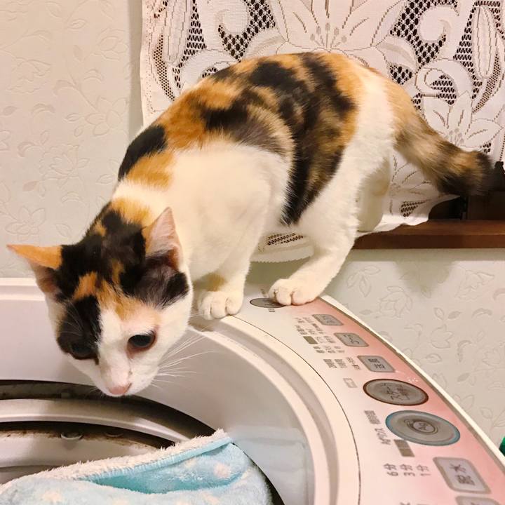 E6e6cd92 ec37 4cdd 8bdc 52817f1d2ae8