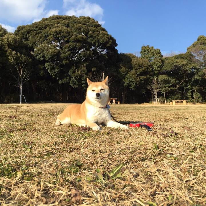 E6e6d3d5 8b22 4458 9c7e 5ee8c65a78b3