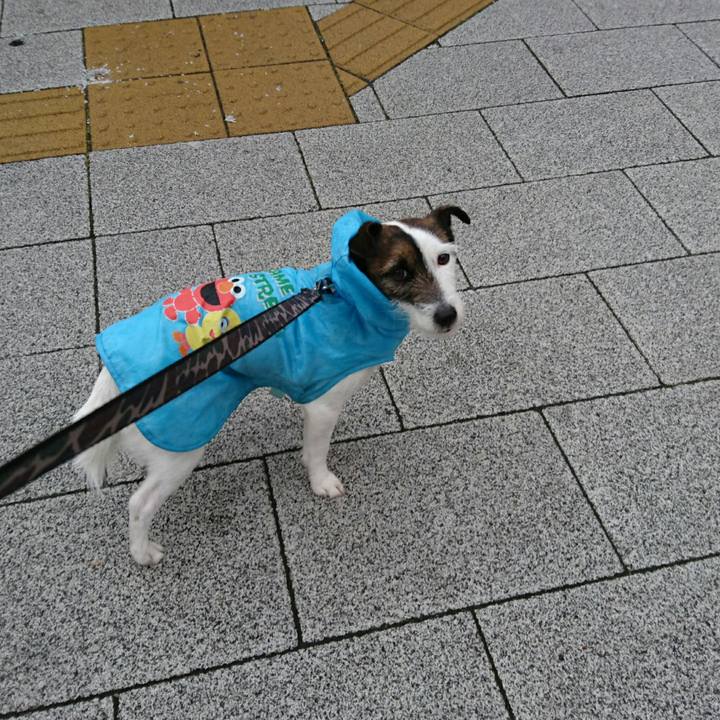 E6e6f32f 8e4c 43e8 97c8 a37f123451bf