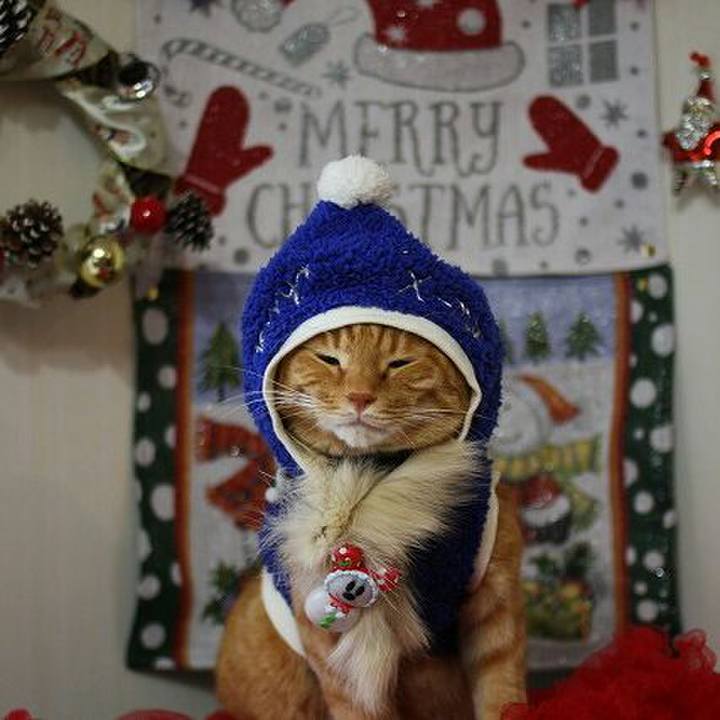 E6e74e70 c9ee 4b2e a150 2f32845eb7cf